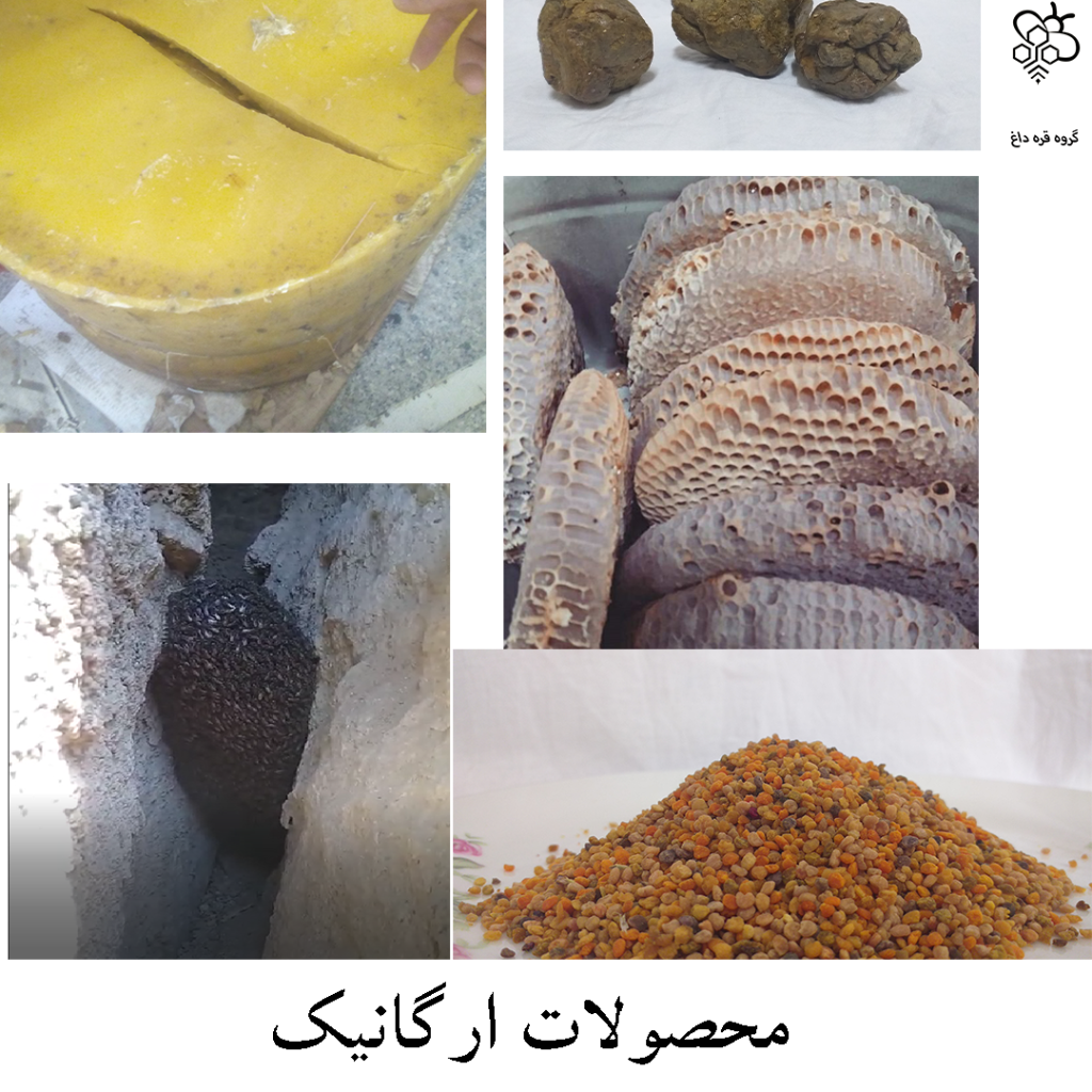 خرید بهترین عسل طبیعی چند گیاه