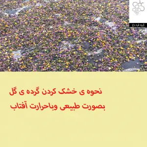 فروش خالص ترین گرده ی گل