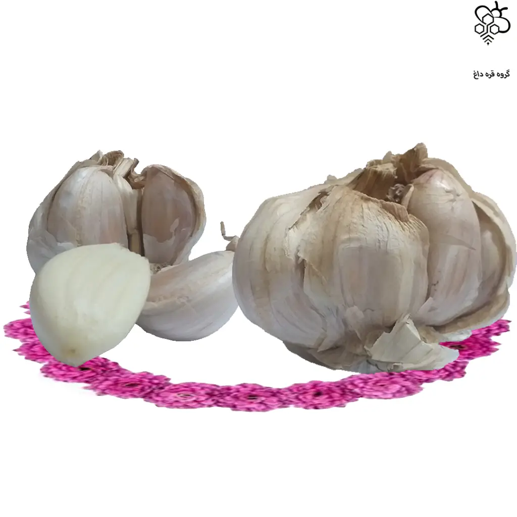 عسل جهت مخلوط با سیر