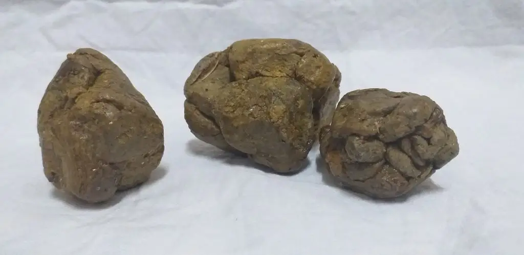 فرآورده های دارویی بره موم