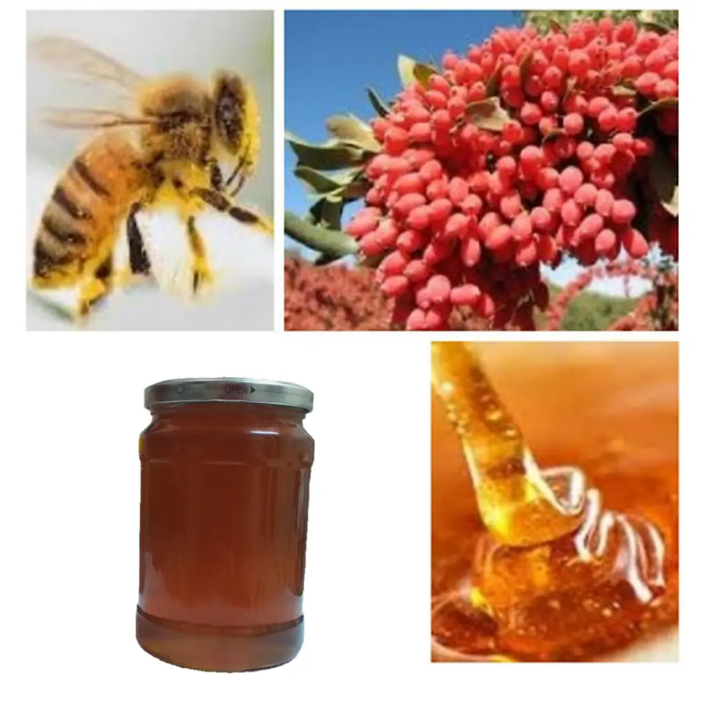 خریدناب ترین عسل