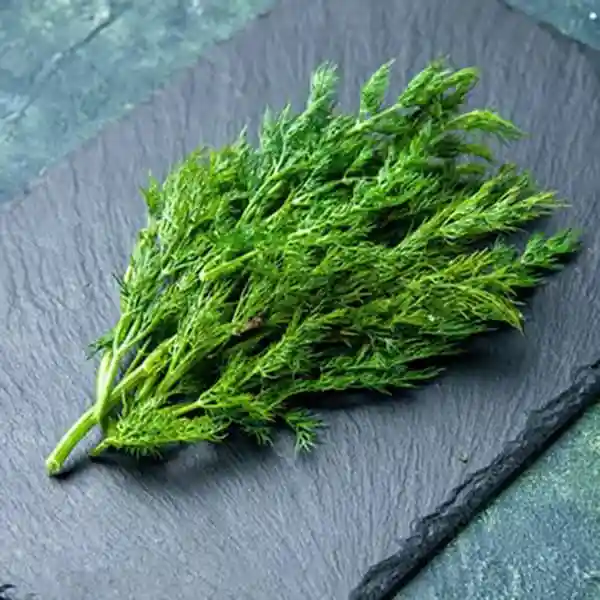 فروش خالصترین عسل شوید