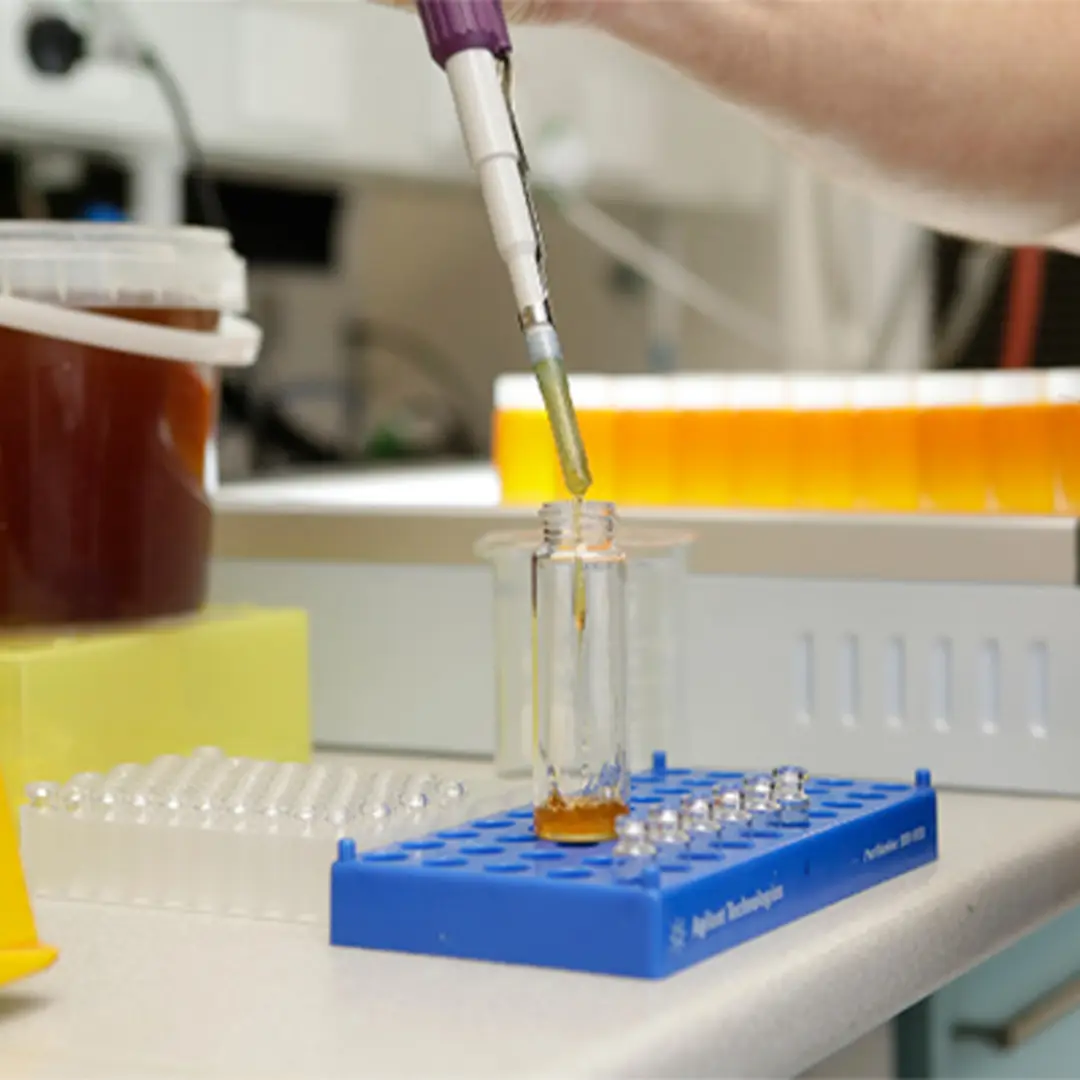 حین خریدعسل