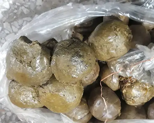 باکیفیت ترین بره موم