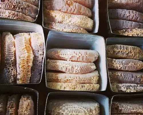 فروش عسل تک گیاه