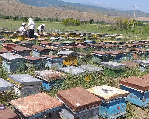 عسل طبیعی وسایرمحصولات