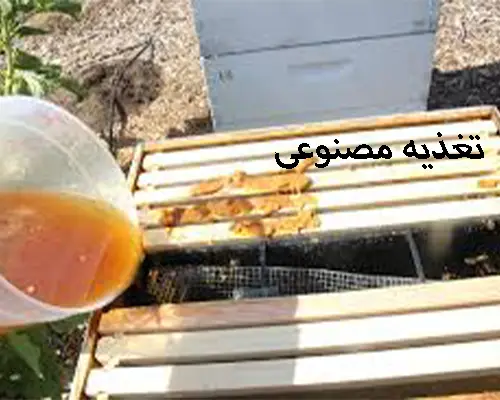 خریدعسل تغذیه ای