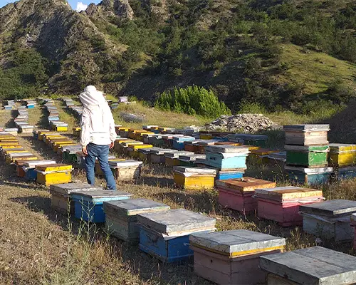 فروشگاه معتبرفروش عسل