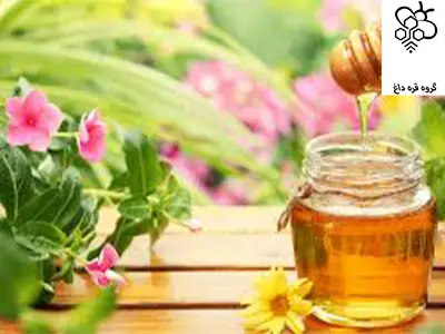 خرید عسل طبیعی یونجه