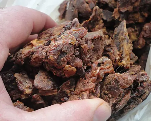 خریدبره موم طبیعی