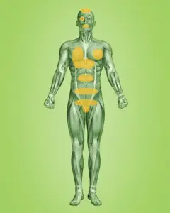 بازار فرآورده های بره موم ایرانی