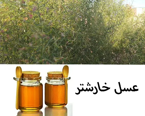 عسل خارشتر
