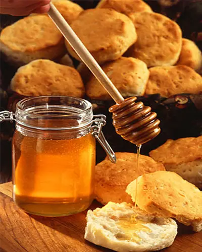 گرانترین عسل گون