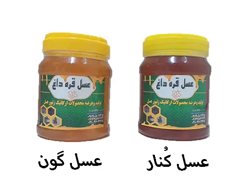 فروش عمده عسل کُنار