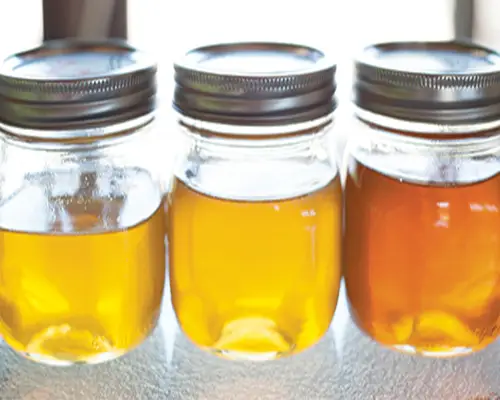 بهترین عسل گون