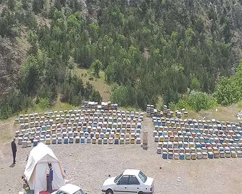 خریدمقویترین عسل