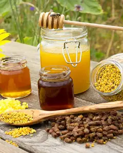 خریدوفروش عسل گون