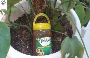 خرید ارزانترین عسل