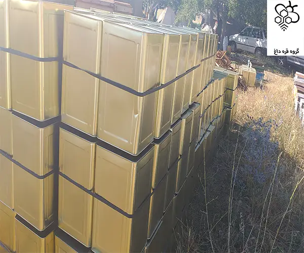 تجارت عسل کُنار