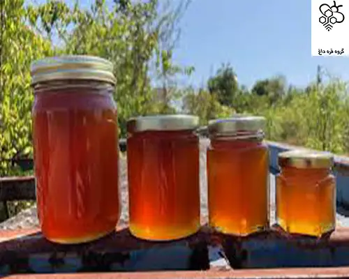 عسل طبیعی برای کارخانجات