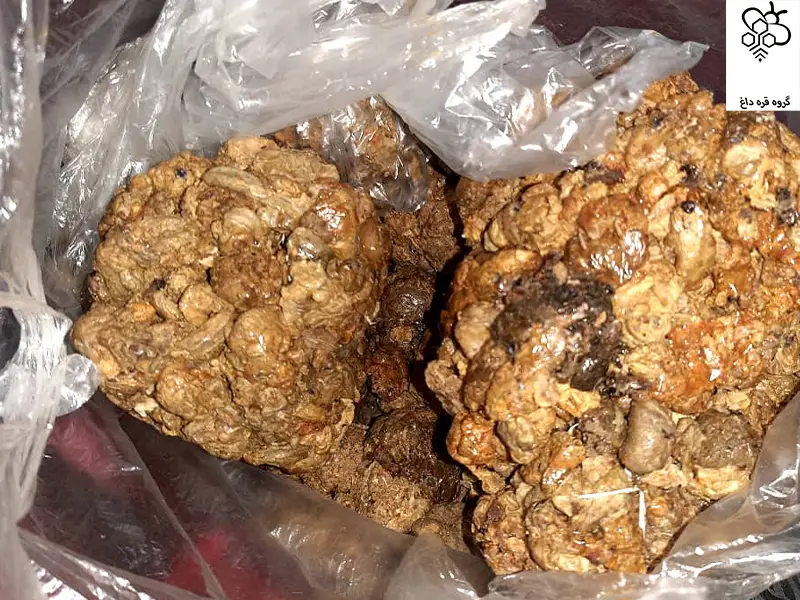 خرید عمده بره موم ناب