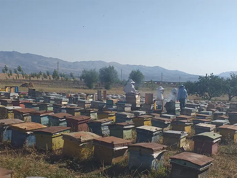 فروش ارزانترین عسل