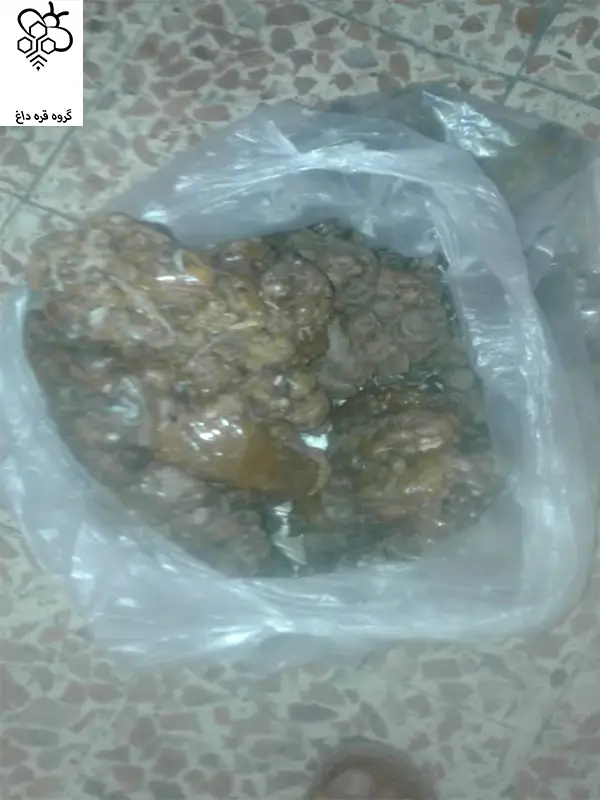 خریدار بره موم