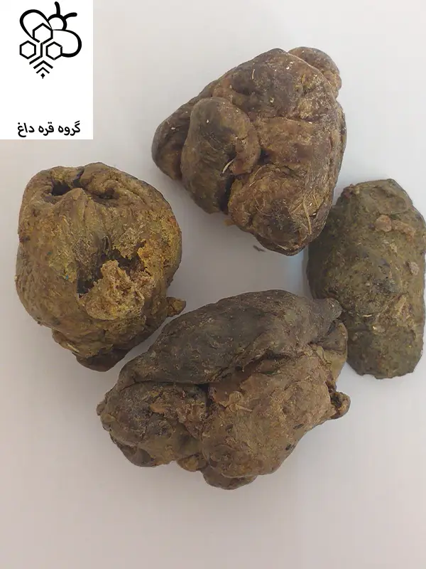 فروش ارزانترین برهموم