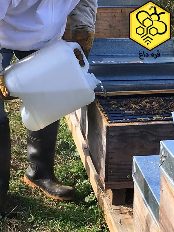 فروش ارزانترین عسل طبیعی