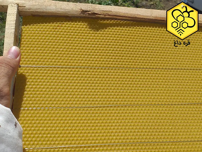 صادرات بهترین موم طبیعی