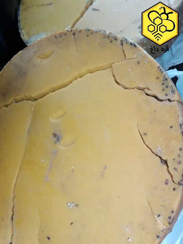 صادرات بهترین موم طبیعی