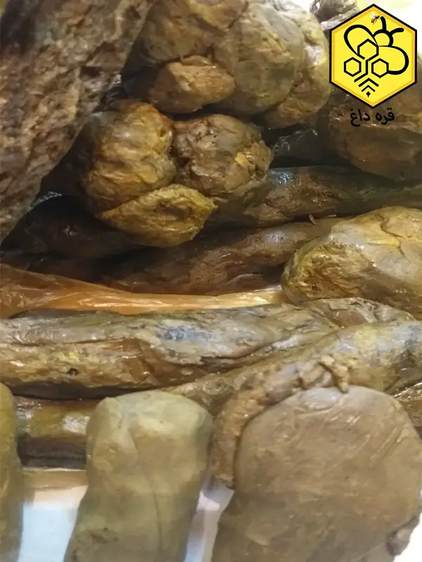 خریدبره موم خام