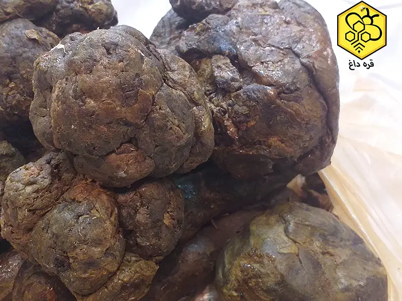 قیمت و خرید بره موم