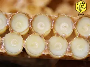 قیمت و خرید بره موم