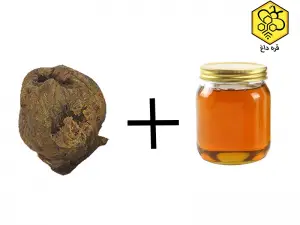 قیمت و خرید بره موم