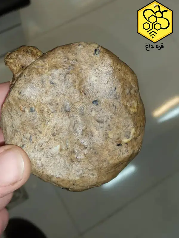 قیمت فروش بره موم