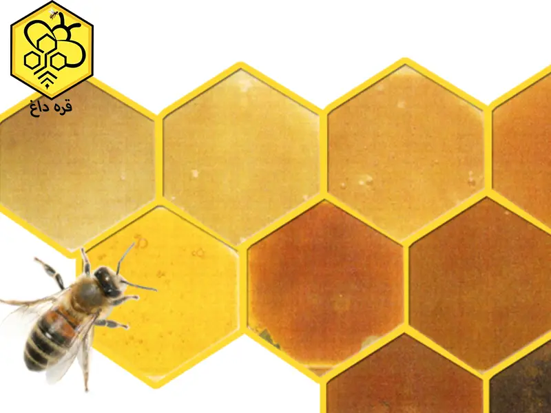 تولید و فروش موم زرد