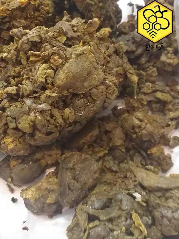 قیمت فروش بره موم