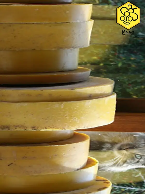 تامین کننده موم طبیعی