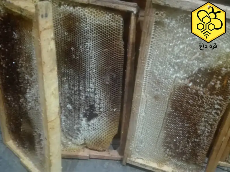 ارزانترین موم کلوخ