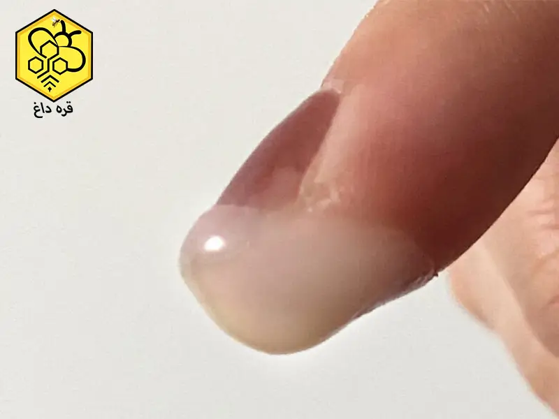 تهیه موم زنبور