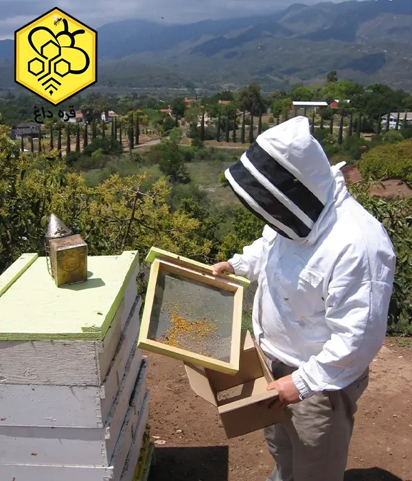 کاربردهای گرده گل