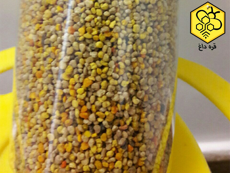 گرده گل در تبریز