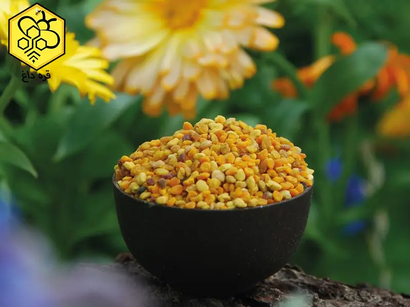 گرانترین گرده گل دارویی