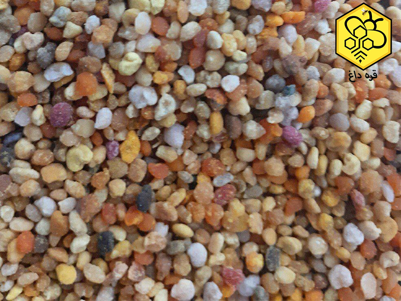 صادرات گرده گل ایرانی