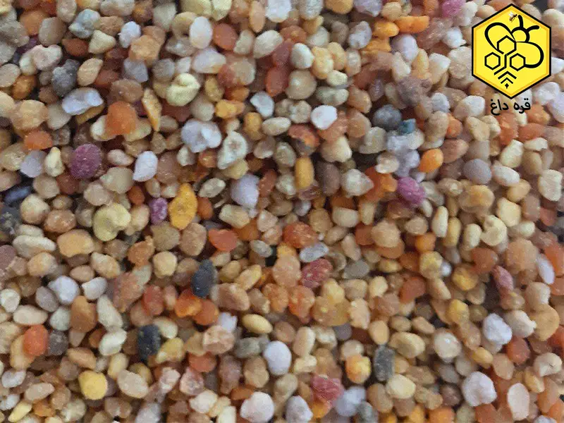 صادرات گرده گل ایرانی