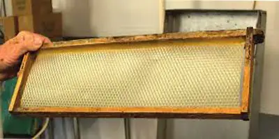 فروش بهترین موم ورقه