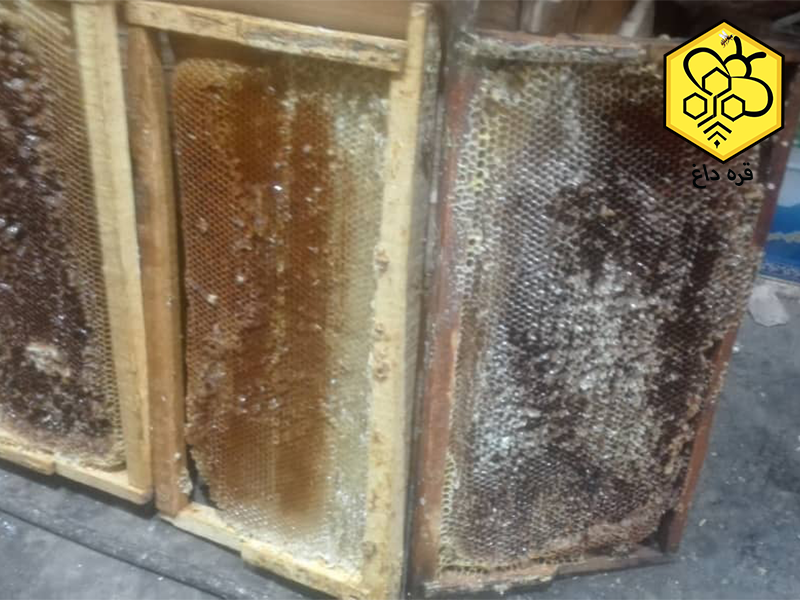 عمده فروشی موم طبیعی