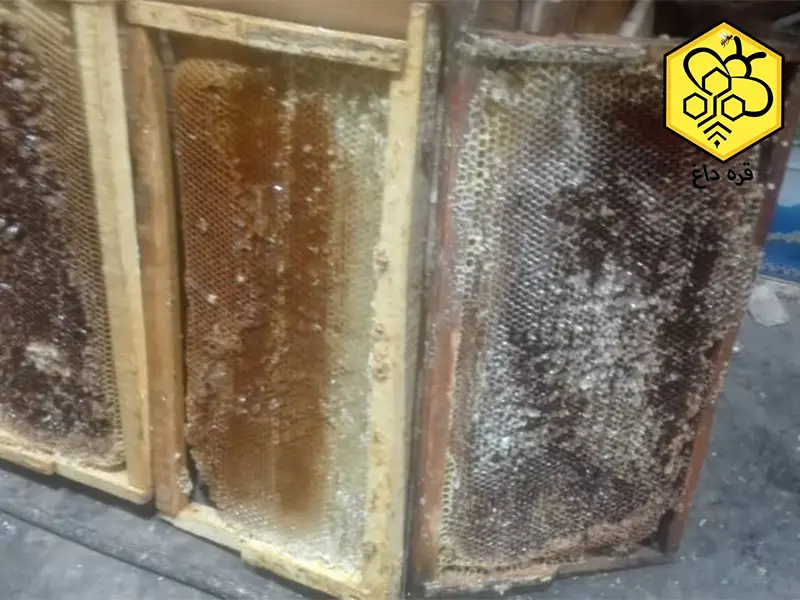 عمده فروشی موم طبیعی