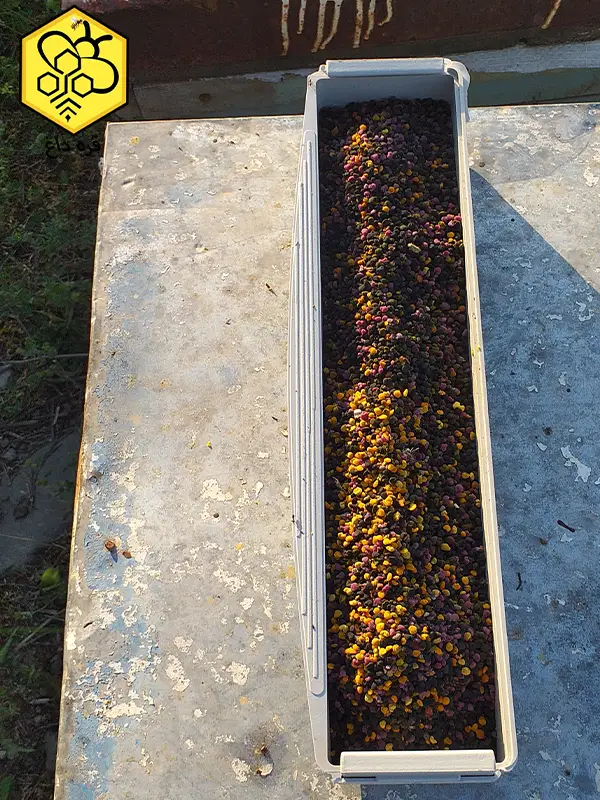 گرده گل خالص